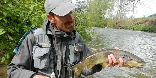 Technqiues de pêche pour pêcher les truites sauvages