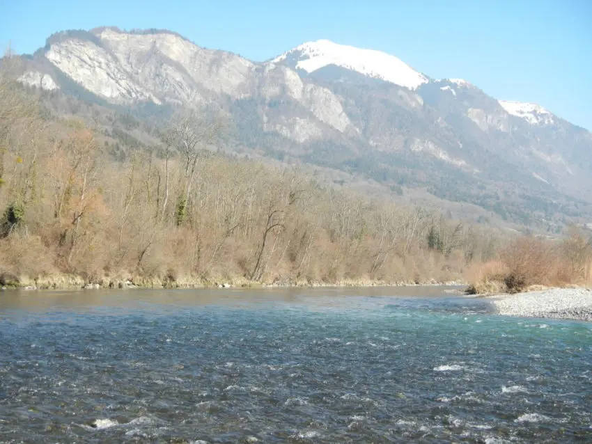 Conseils de pêche pour l'ouverture de la truite