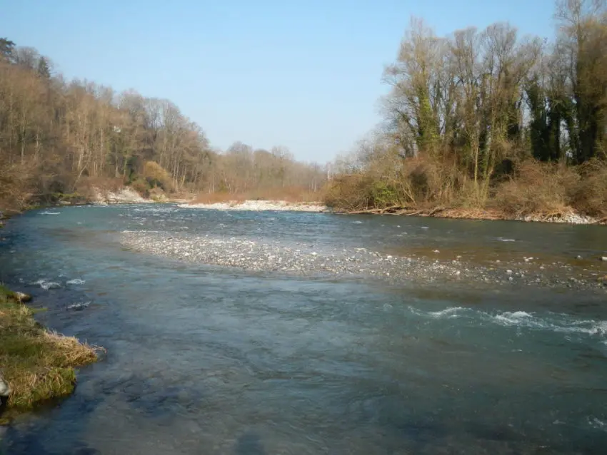 Conseils de pêche pour l'ouverture de la truite