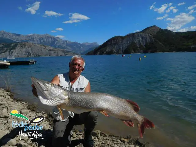 Gros brochet record de Serre Ponçon