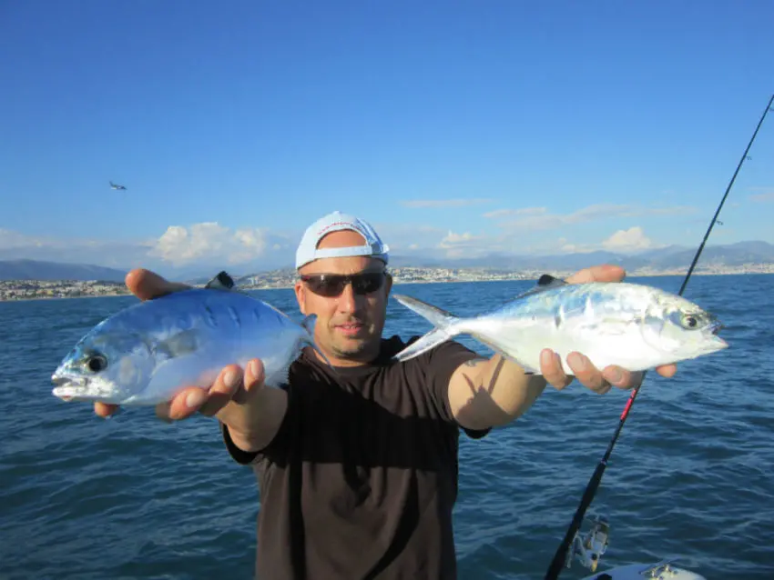 Pêche aux leurres de surface en mer