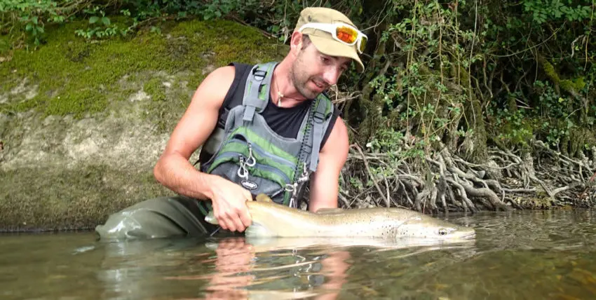 Pêcher la truite au toc à la nymphe