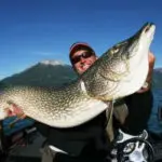 Record brochet Sylvain Legendre