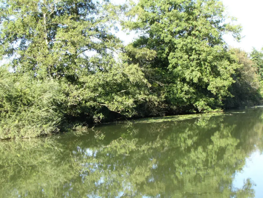 Utiliser un repère pour pêcher la carpe