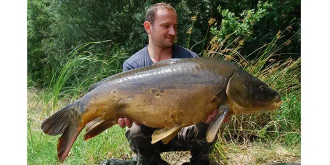 Pêcher la carpe en extrême bordure