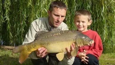 Faire des pêches de rendement en pêchant la carpe