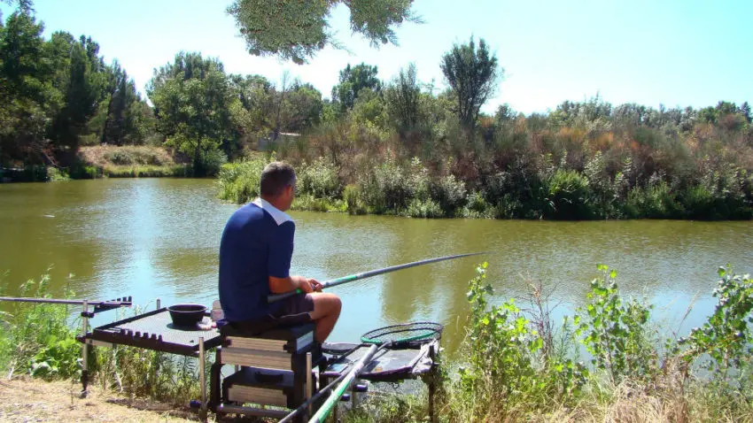 Conseils de pêche en carpodrome