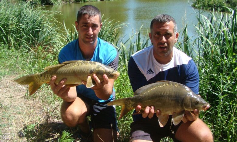 Conseils de pêche en carpodrome