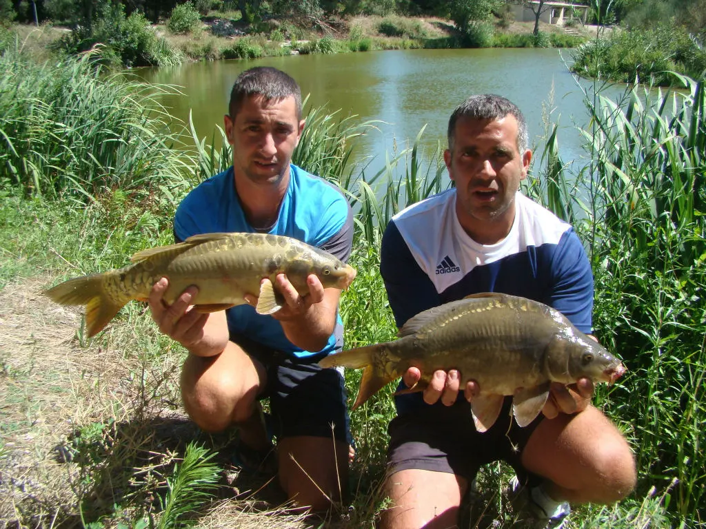 Conseils de pêche en carpodrome