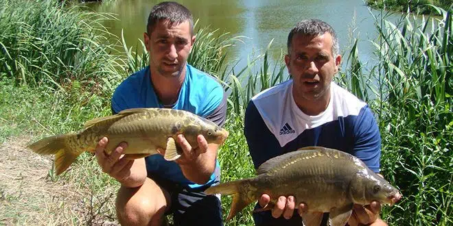 Conseils de pêche en carpodrome