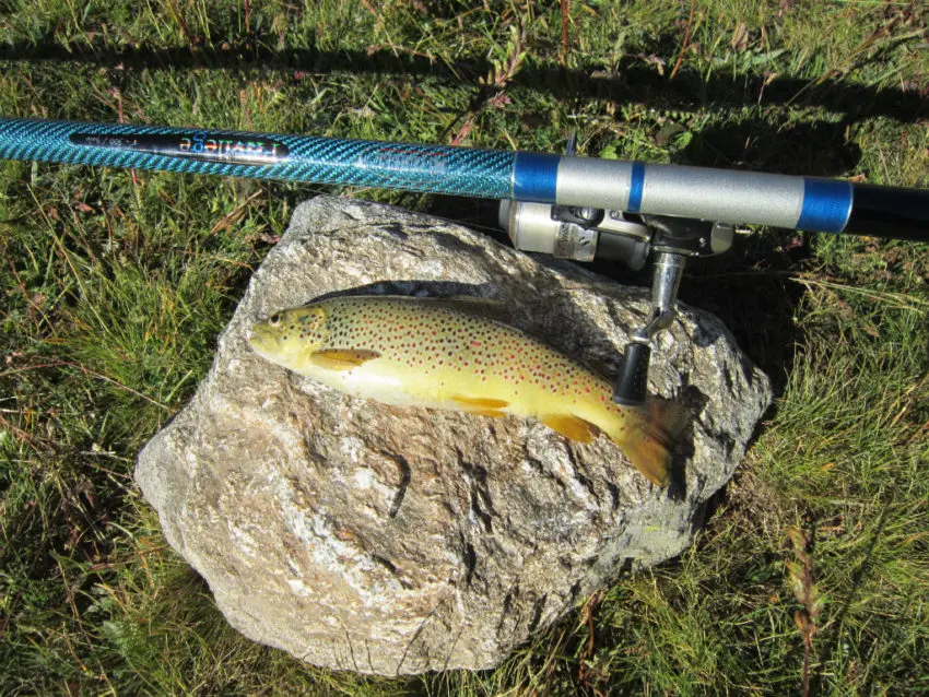 Pêcher la truite en lac de haute montagne