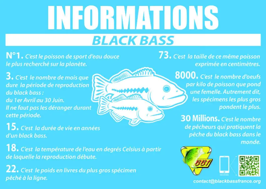 cycle-biologique-black-bass-02