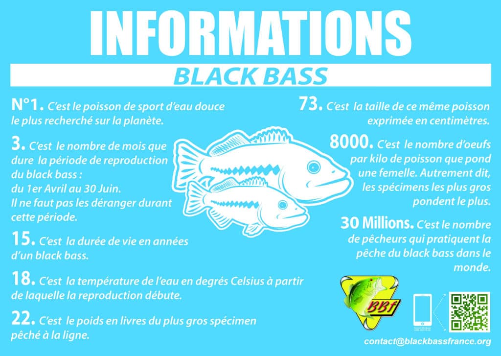 Le Cycle Biologique Du Black Bass