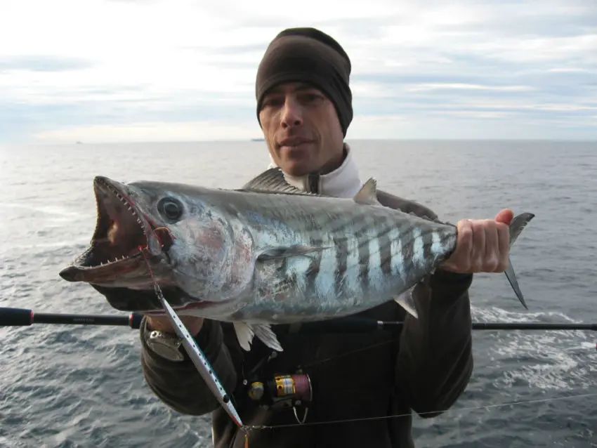 Pêche en mer en shore jigging