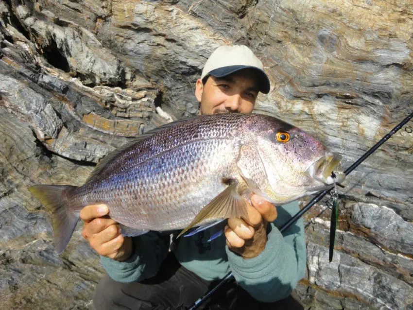 Pêche en mer en shore jigging