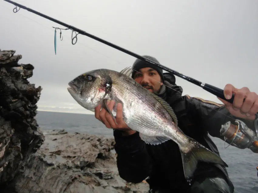 Pêche en mer en shore jigging