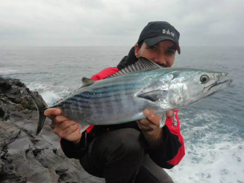 Pêche en mer en shore jigging