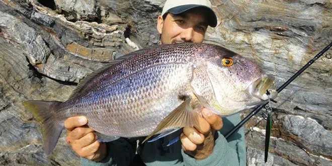 Pêche en mer en shore jigging