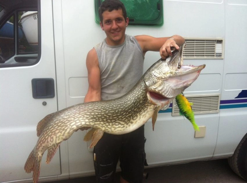 Gros brochet record du lac Léman