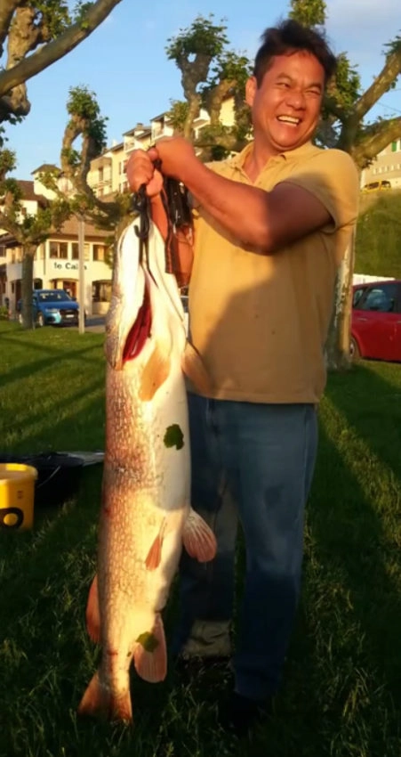 Gros brochet record du lac Léman