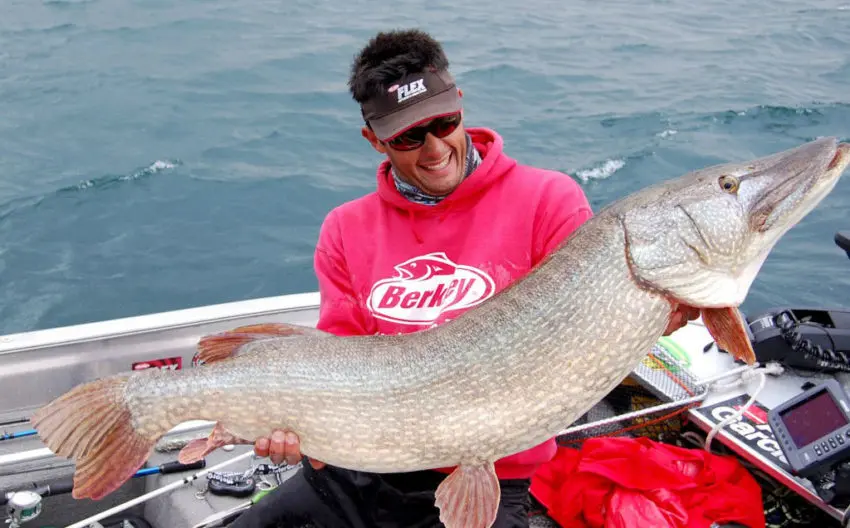 Gros brochet record pris au lac Léman