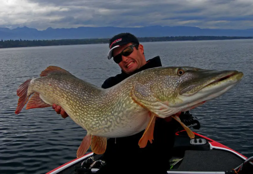 Gros brochet record pris au lac Léman