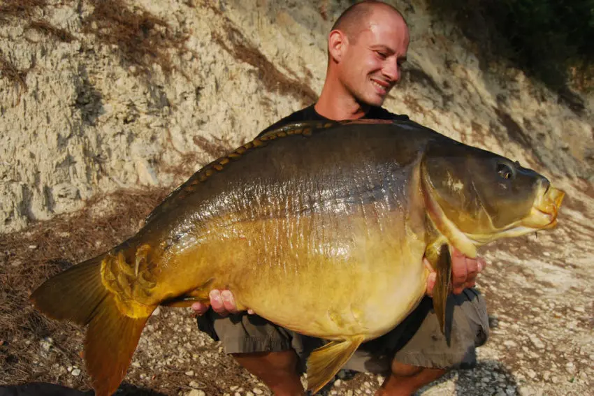 Pêcher la carpe sur des amorçages massifs