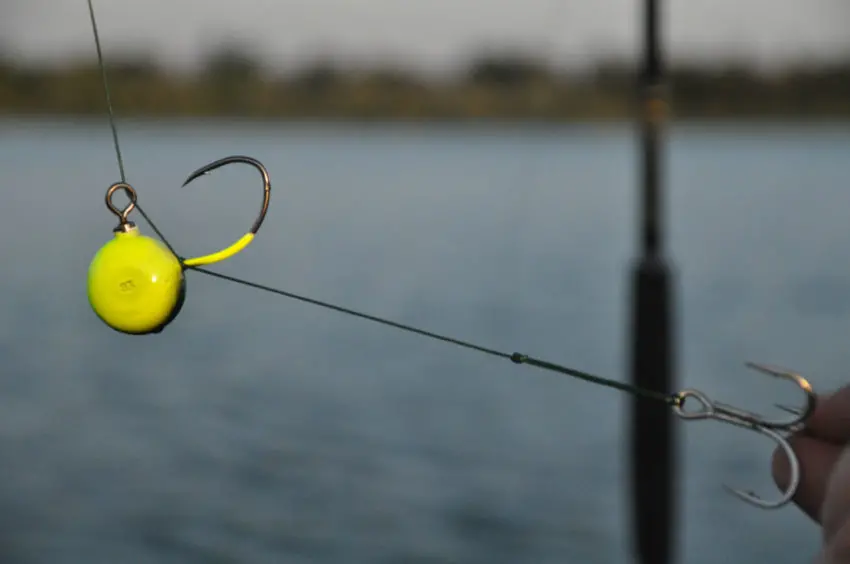 Pêcher le silure au fireball