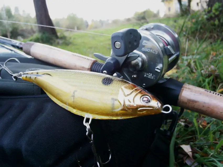 Pêcher le brochet au jerkbait