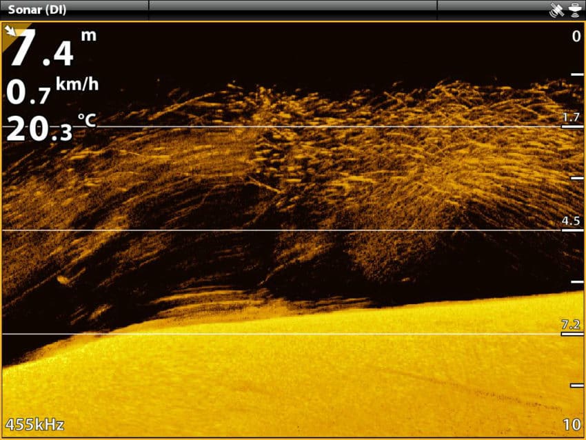 Mode Down Imaging des sondeurs Humminbird
