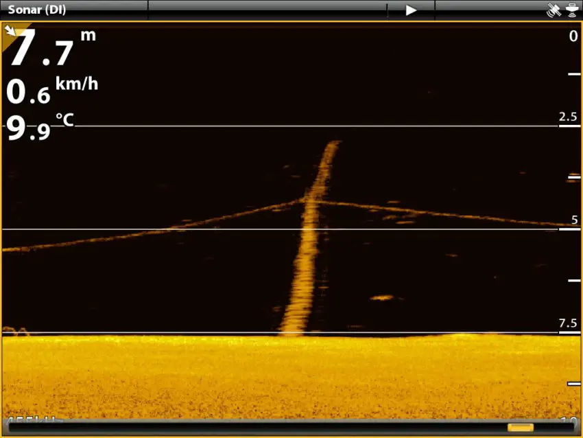 Mode Down Imaging des sondeurs Humminbird