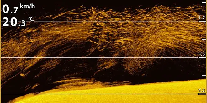 Mode Down Imaging des sondeurs Humminbird