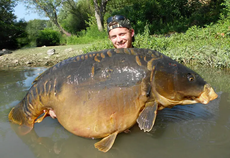 Les carpes records de France