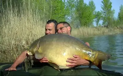 Les carpes records de France