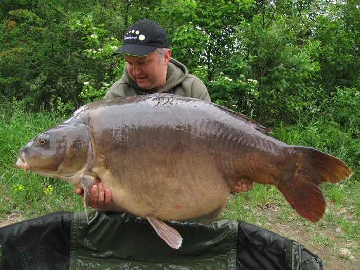 Les carpes records de France