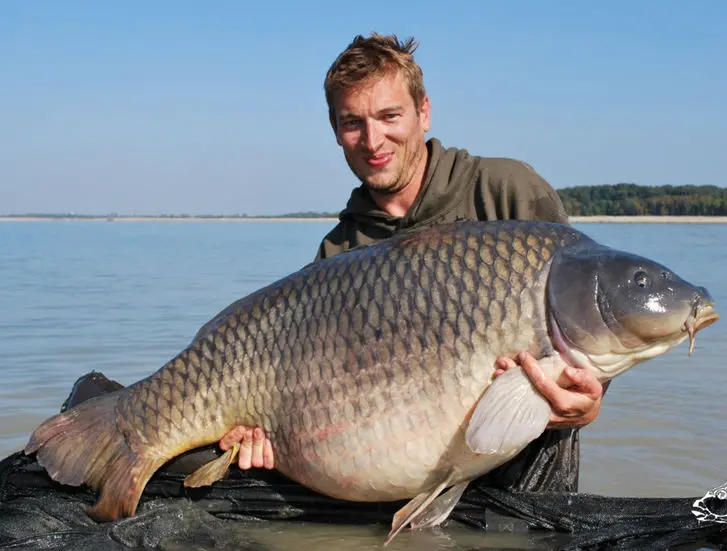 Les carpes records de France