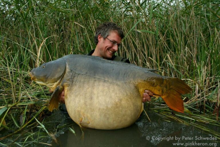 carpe-record-top-20-des-plus-grosses-carpes-de-france-1max2peche