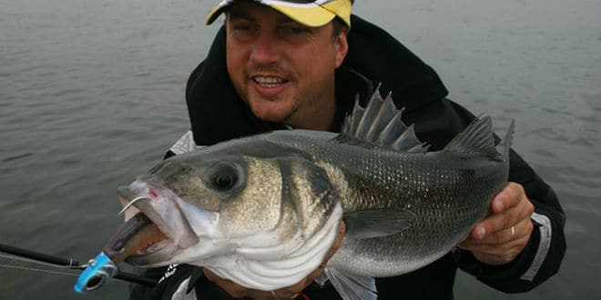 Pêche du bar : attention aux détails! 59 Les détails du montage pour la pêche du bar font la différence
