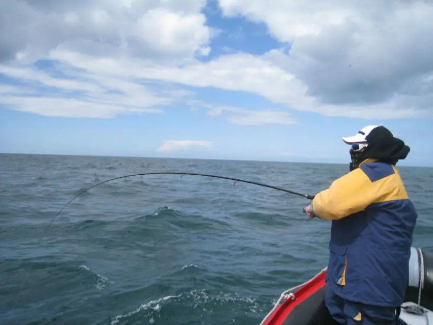 Les détails du montage pour la pêche du bar font la différence