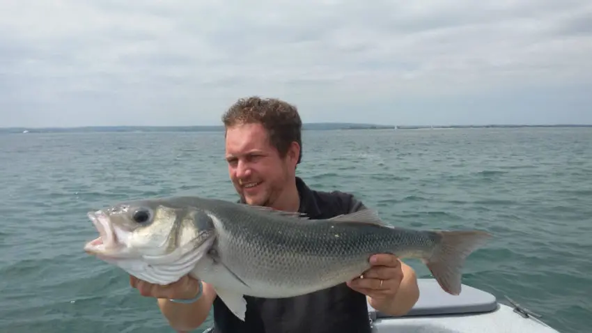 Les détails du montage pour la pêche du bar font la différence