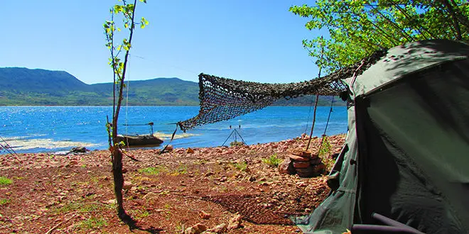 Pêcher la carpe pendant la canicule