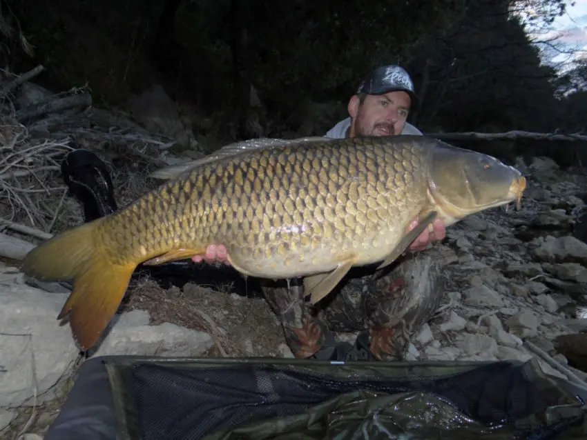 Pêche de la carpe en speedfishing