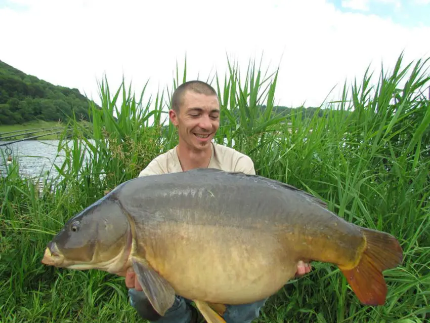 Pêcher la carpe avec un montage simple