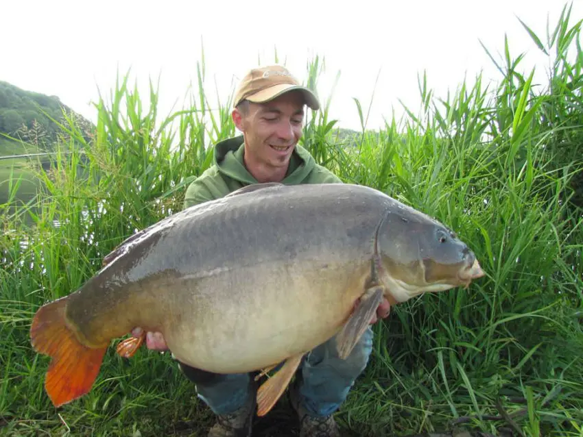 Pêcher la carpe avec un montage simple