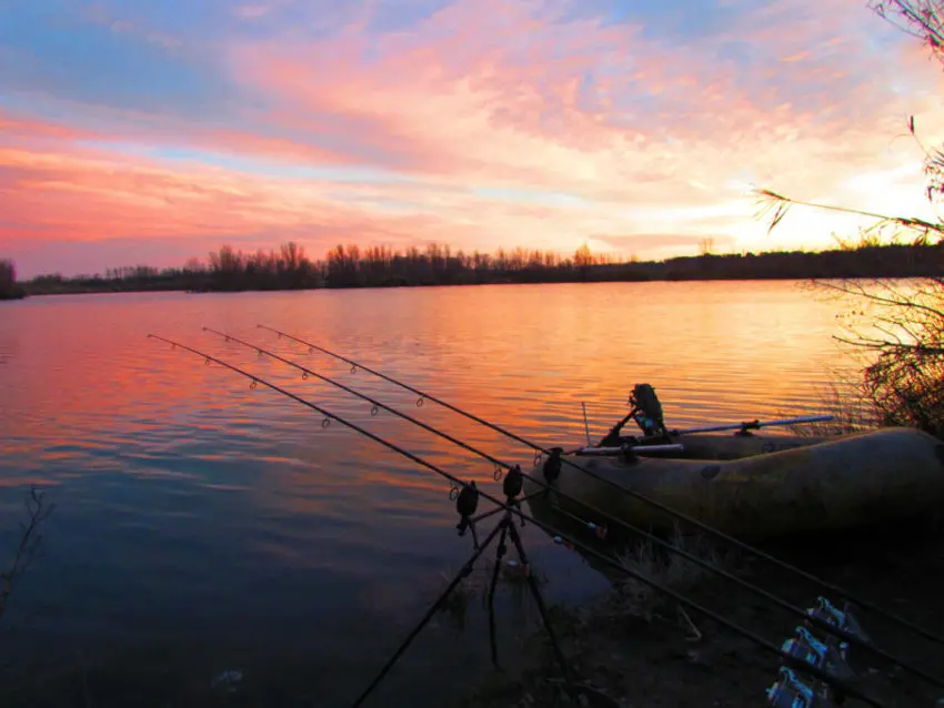 Pêcher la carpe avec un montage simple