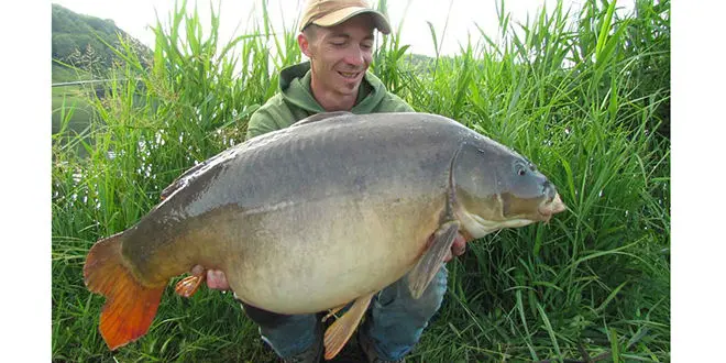 Pêcher la carpe avec un montage simple