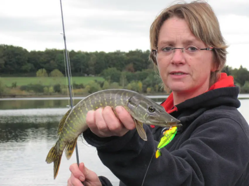 Pêche des carnassiers aux leurres de type lames et tailspins