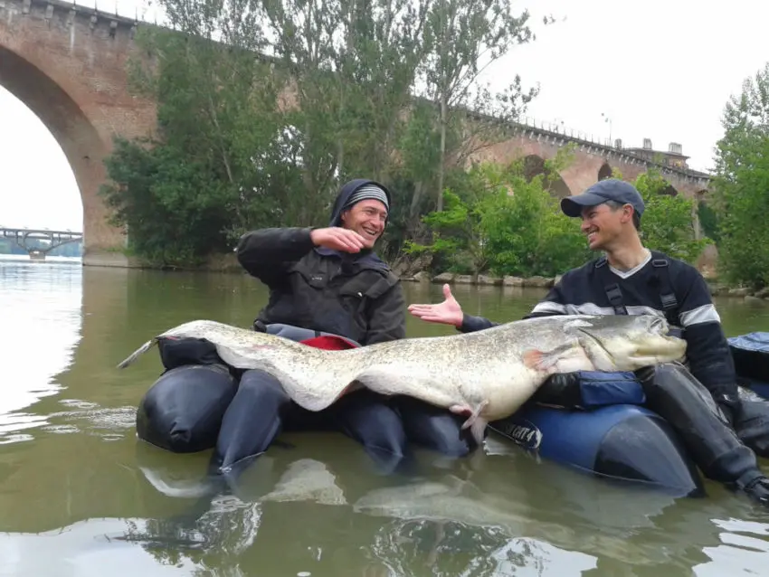 Pêcher dans le Tarn et Garonne