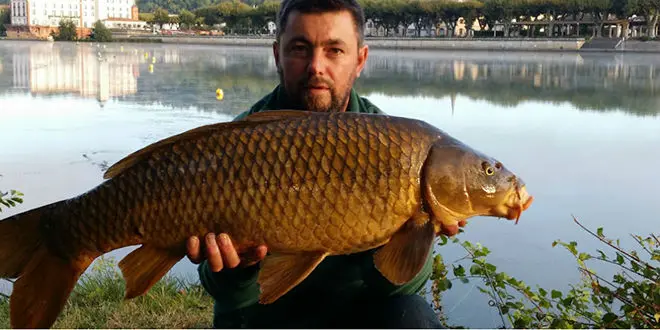 peche tarn garonne