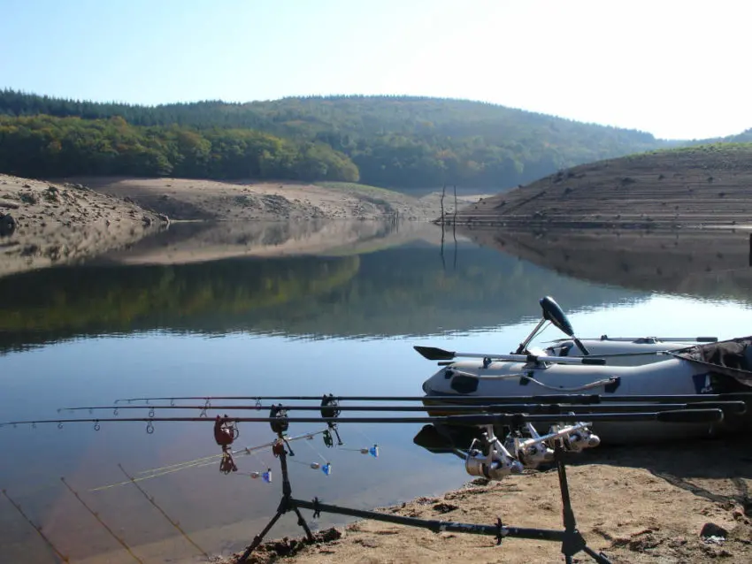 Pêche de la carpe en automne